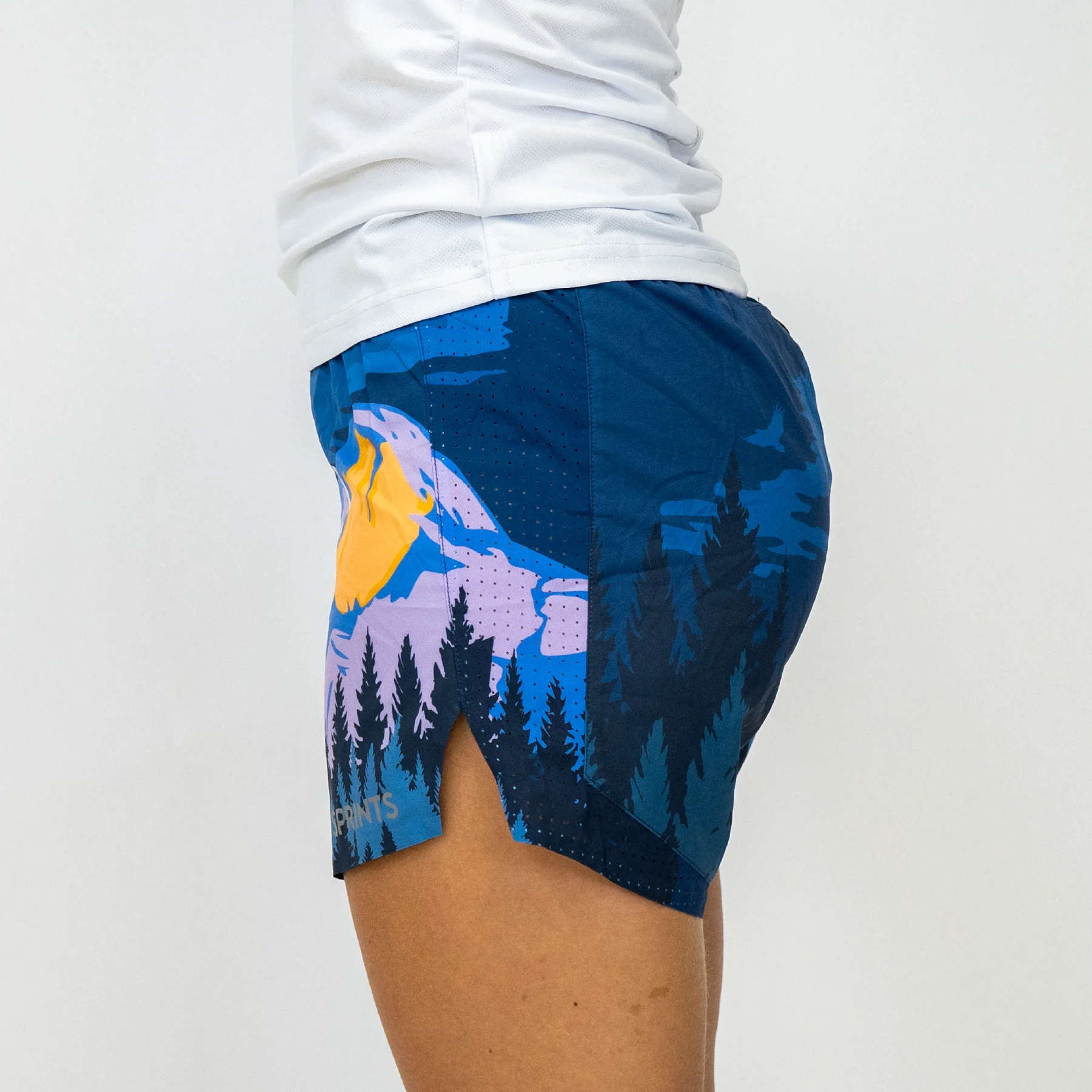 Womens Avigate 4" Mercy Short - Yosemite - Image 5